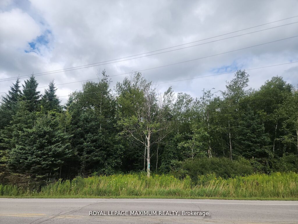 For Sale: 20223 Bathurst Street, East Gwillimbury, ON L9N 1N3, East Gwillimbury, ON - Property Photo